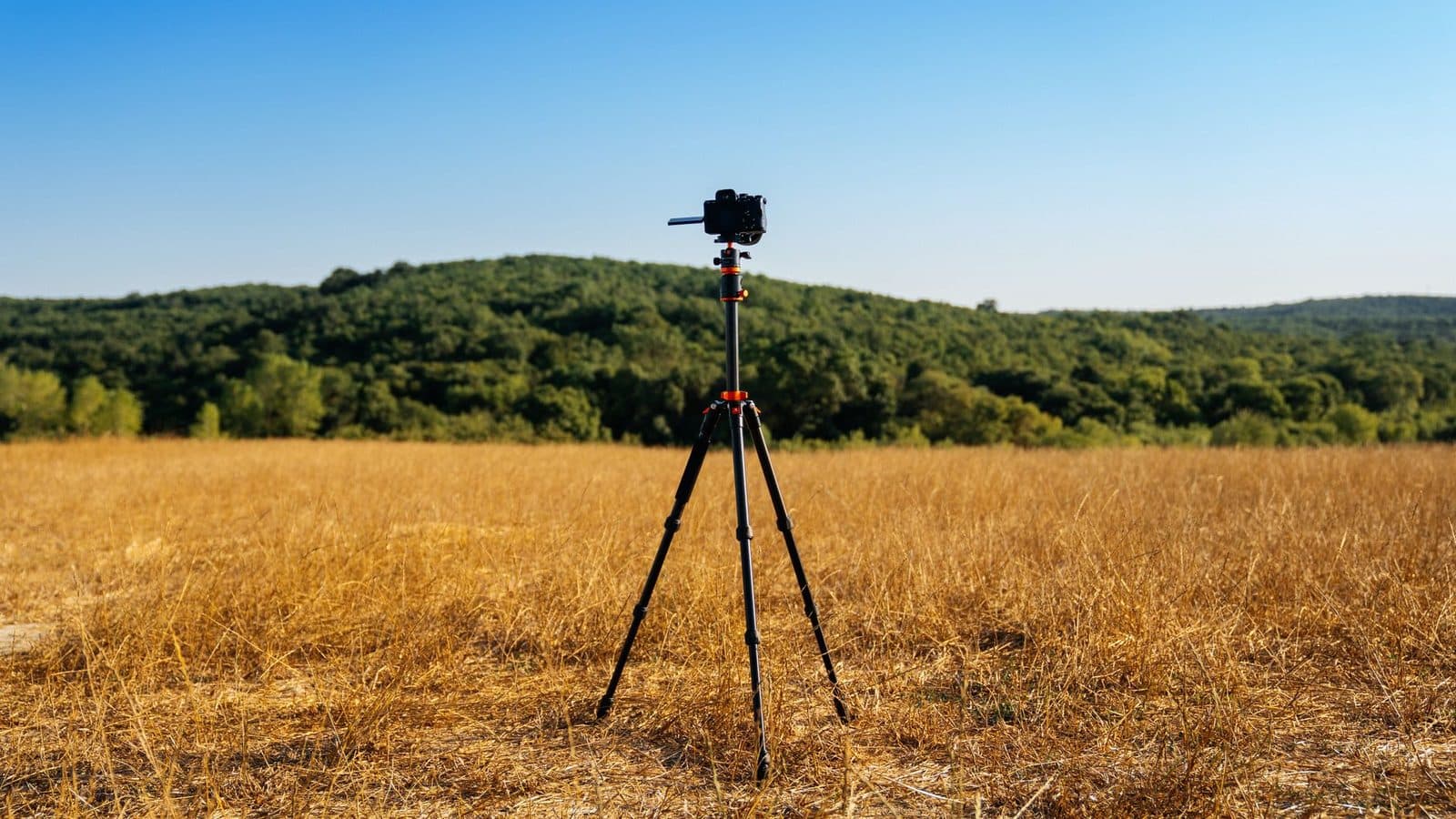 Land surveyor tripod field
