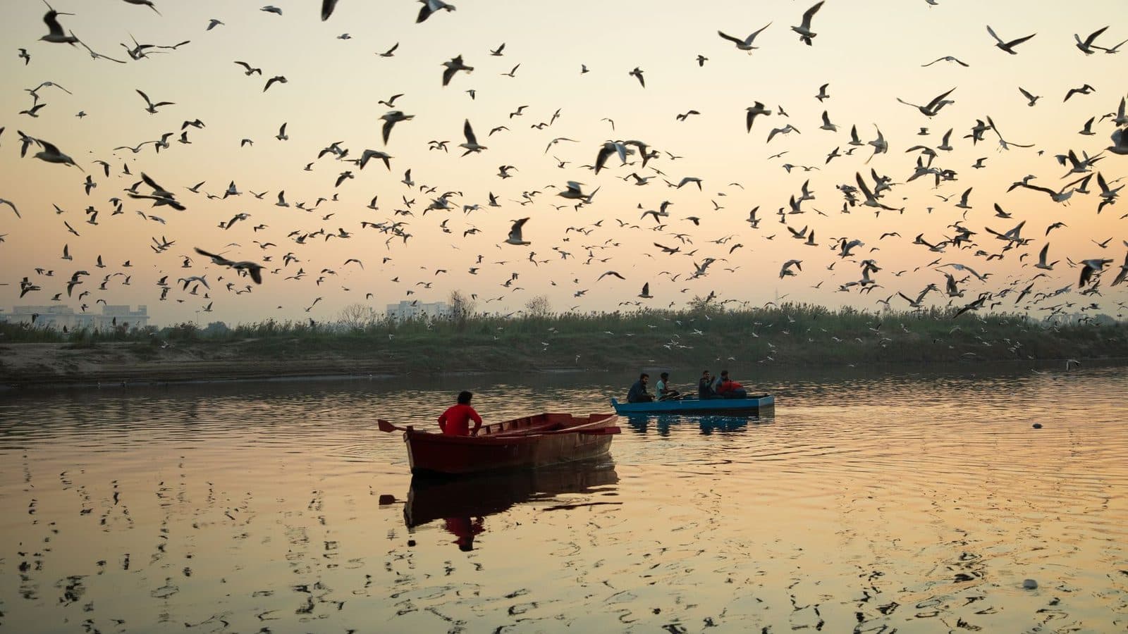 Sunrise over Yamuna river